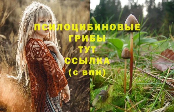 герыч Дмитровск