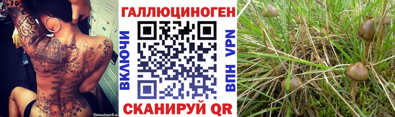 Купить  Северо-Курильск  Галлюциногенные грибы MAGIC MUSHROOMS 